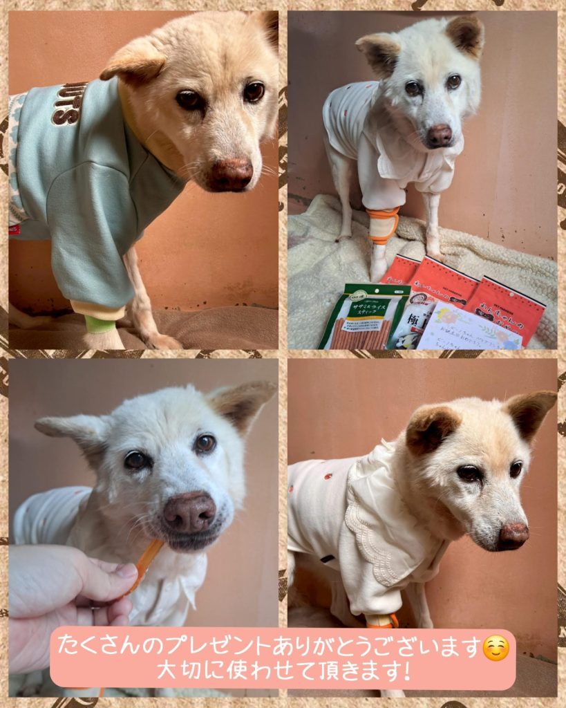 1d637be3a5a5908f9a549a08a8152ddd