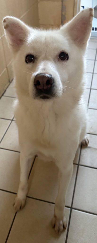 f3dd01fee0aa4a5897dcf26669b8d6e1 2