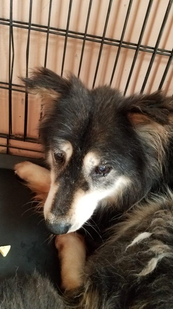 13563903237ff0dca6b1bfe15eacaacc