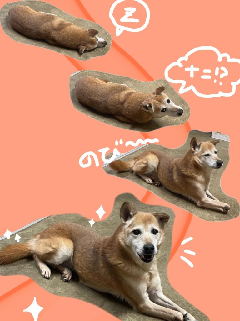 68493c20833e2cf9fee7c648368e51de