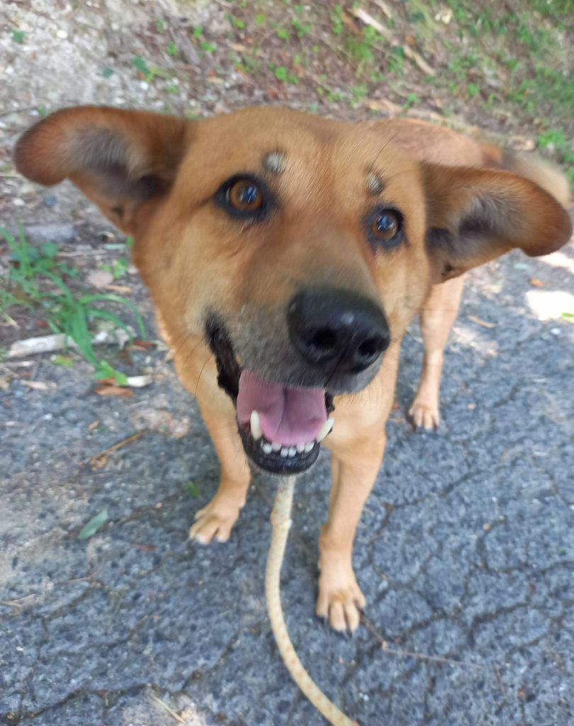 124f873228503a13ddf3c6daf8ef63d9