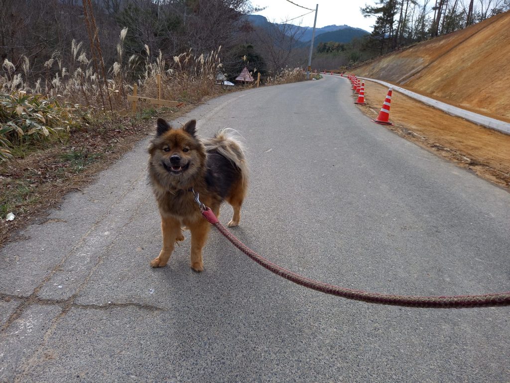 4dc7bc7609f3ef349d2450ea16a1eec7