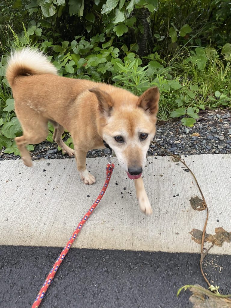 a5982e4eaf38fe8641f9281d2edf520a