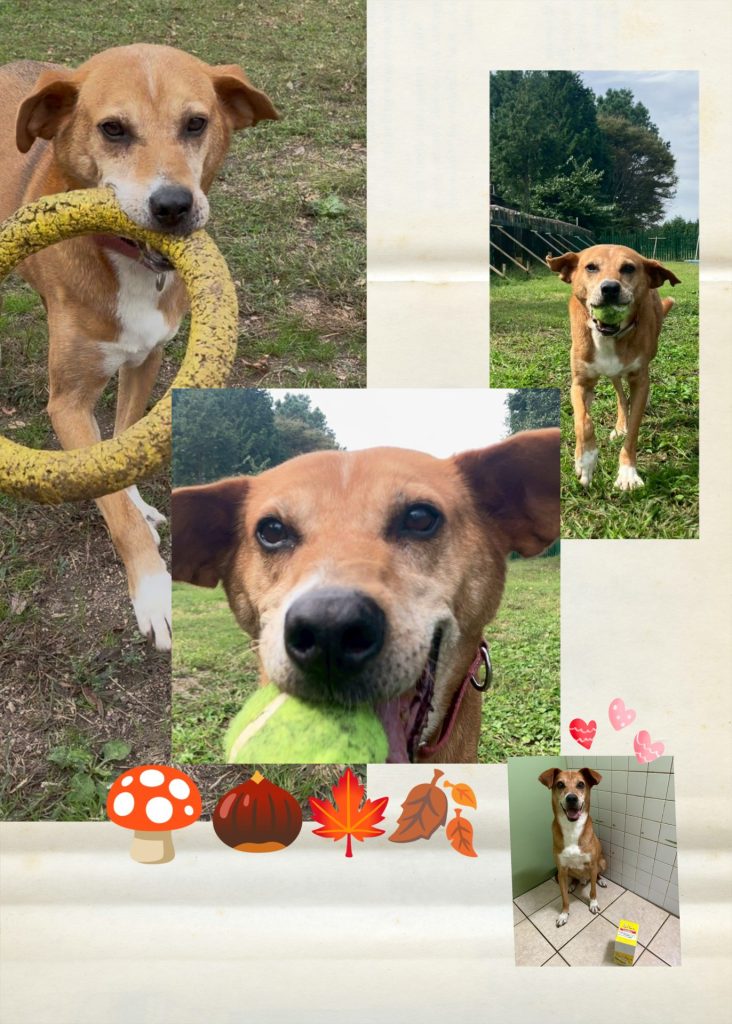 ab717db8443e90d5b8496087f2b89c4b