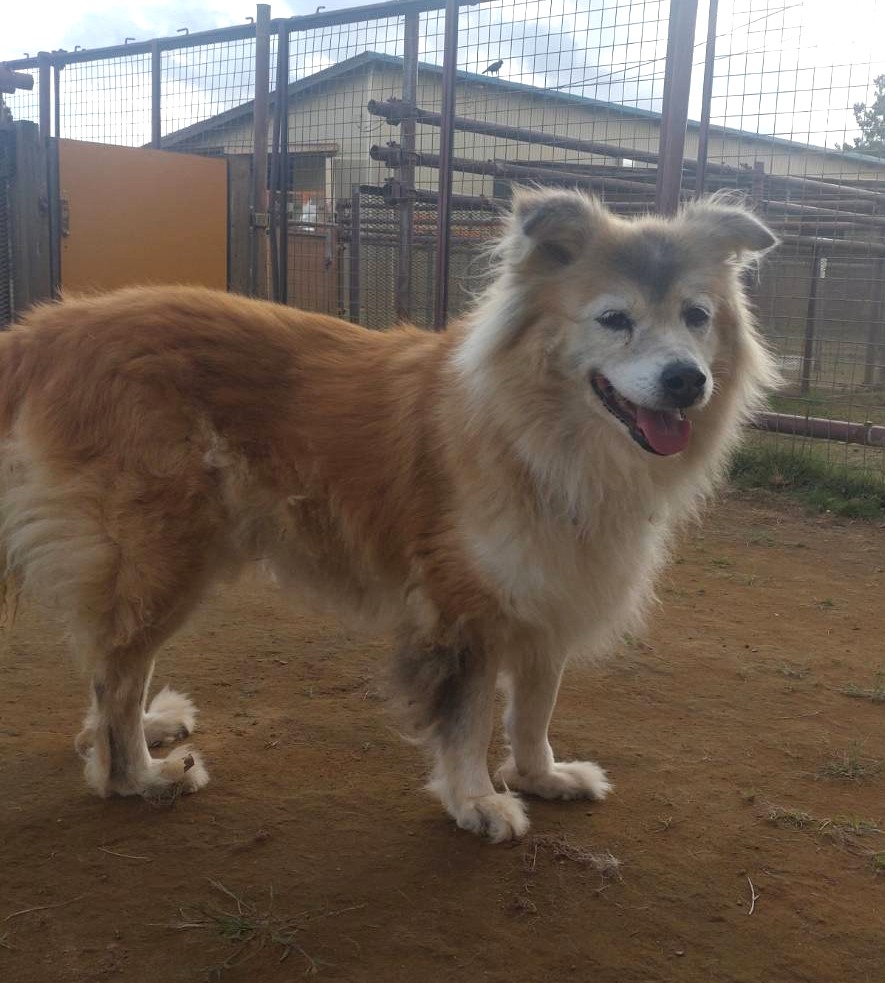 b1ba163a3668c9e655b3fa0229021c3a