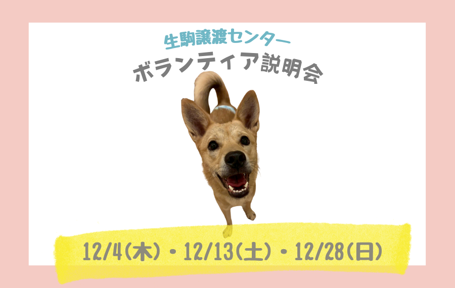 badfc7be2bc563cc8f20c96613cebaa9