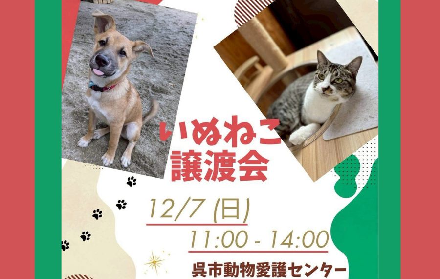 b89ae00c6e1192a9d55bf9fe977ec8d9