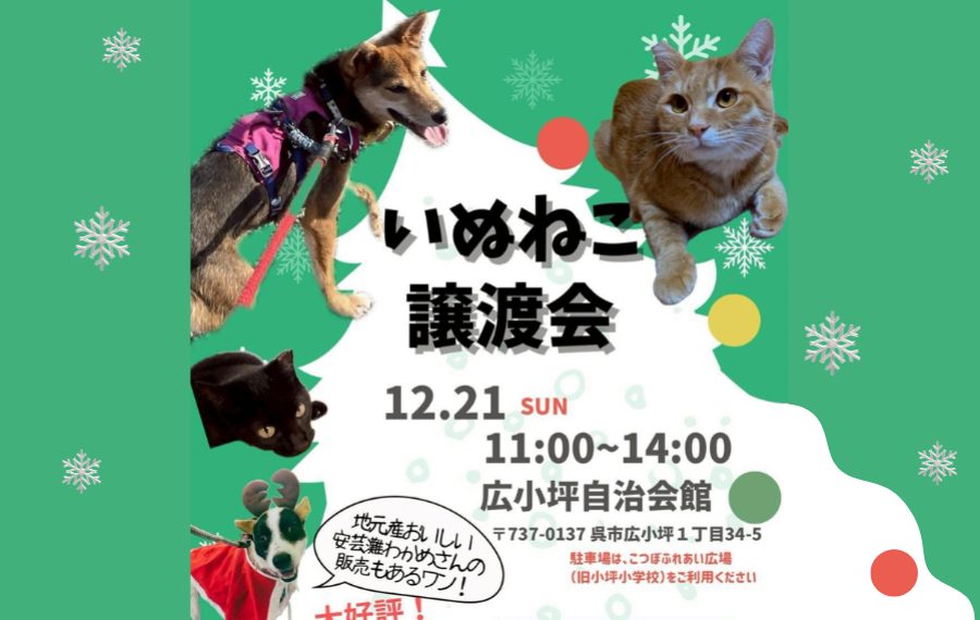 8ca769b6fcad48e67d8b6a53c9046832