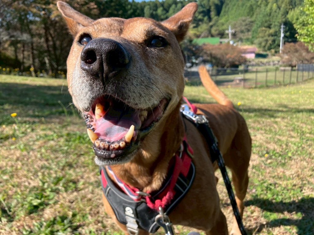 f866fcf8f11266e5829af2763d3ce9d4 1