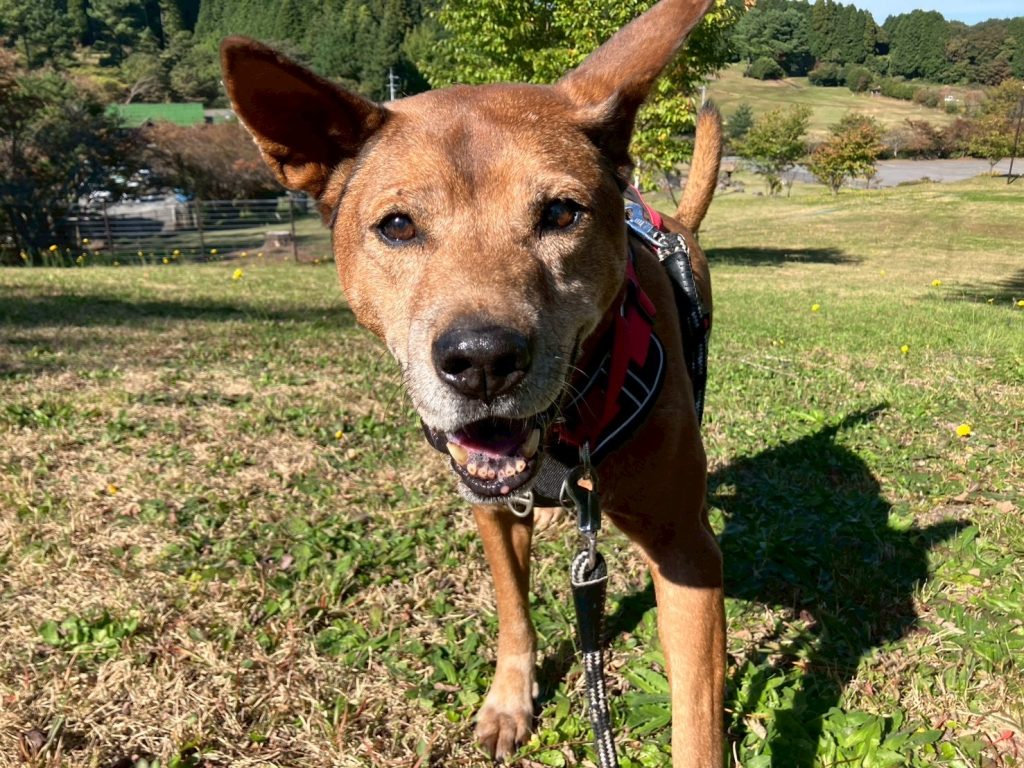 29a77e60211b3fc2b4b2cea9b6e9f882