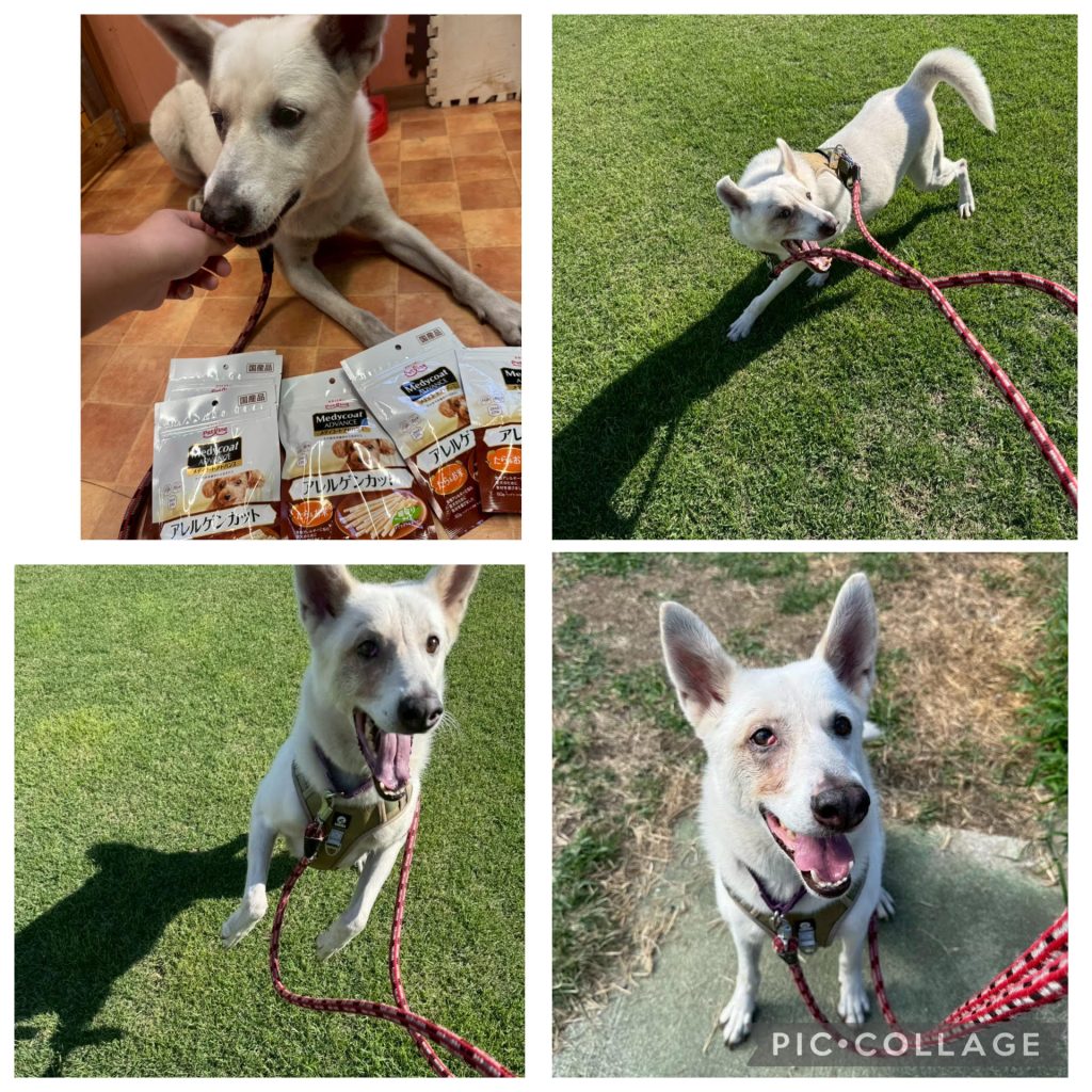 7fce745298c9540c9c6c434f3c9df7ae