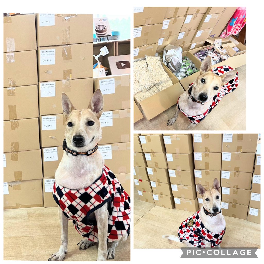 7d1f122b6328854c91baf26e858ba2e5