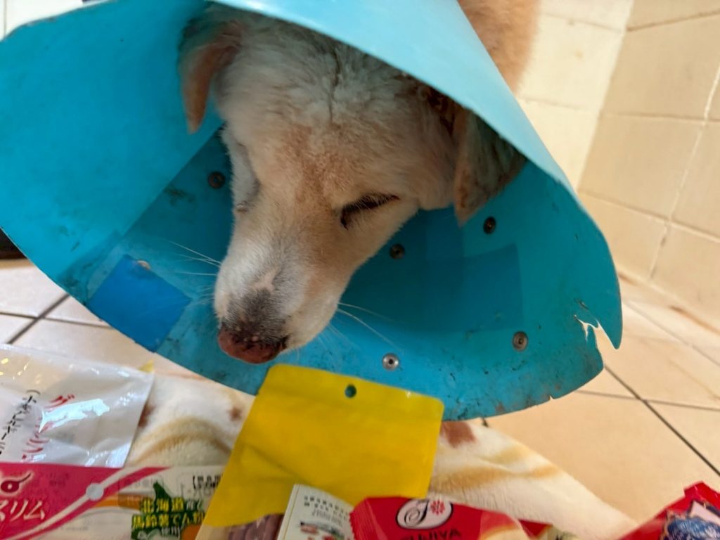 e1dd36fba19a47b56d9fe46b1dc4fb1f 3