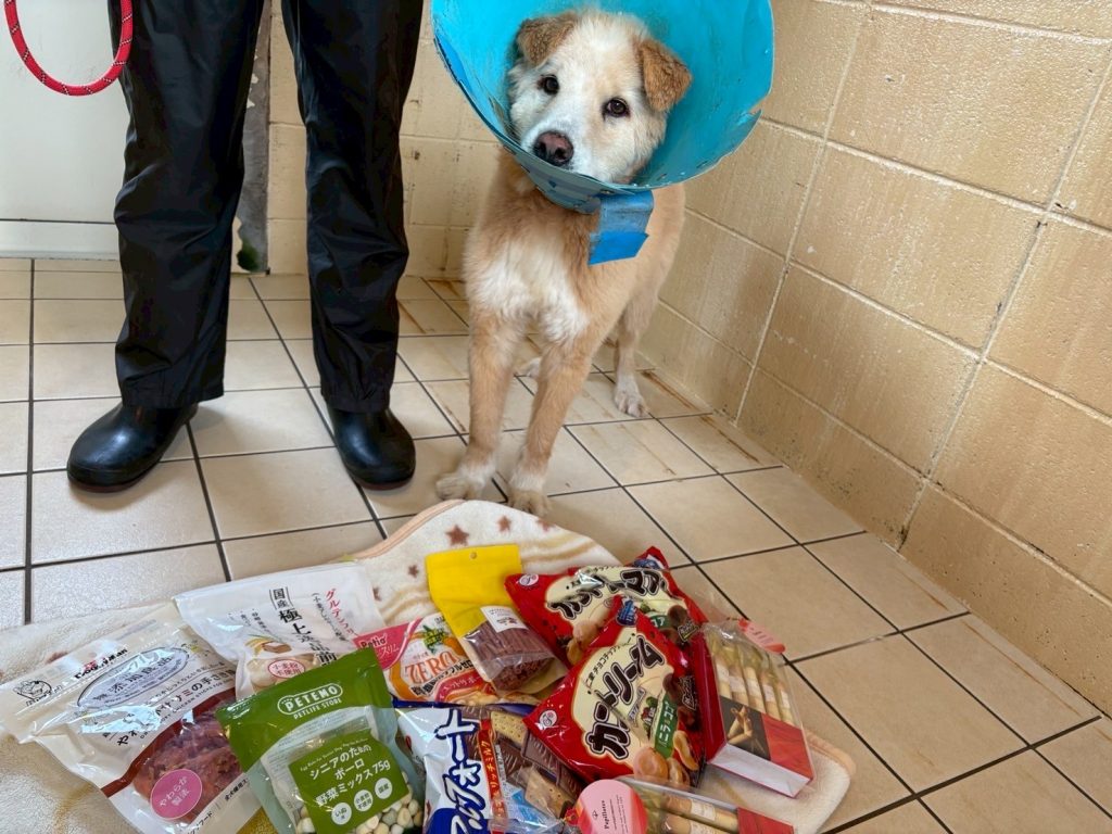 b87efa2aff385736213ded66eccbd910 2