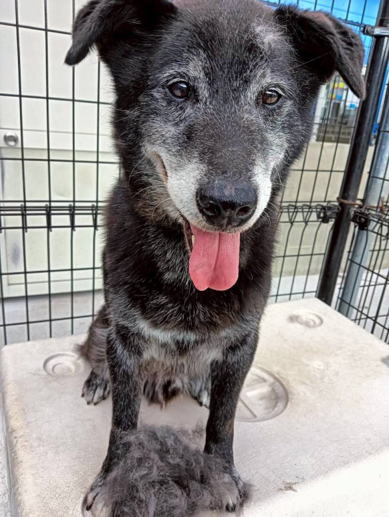 24a43615bbe72df974b2cf5d530742df 1