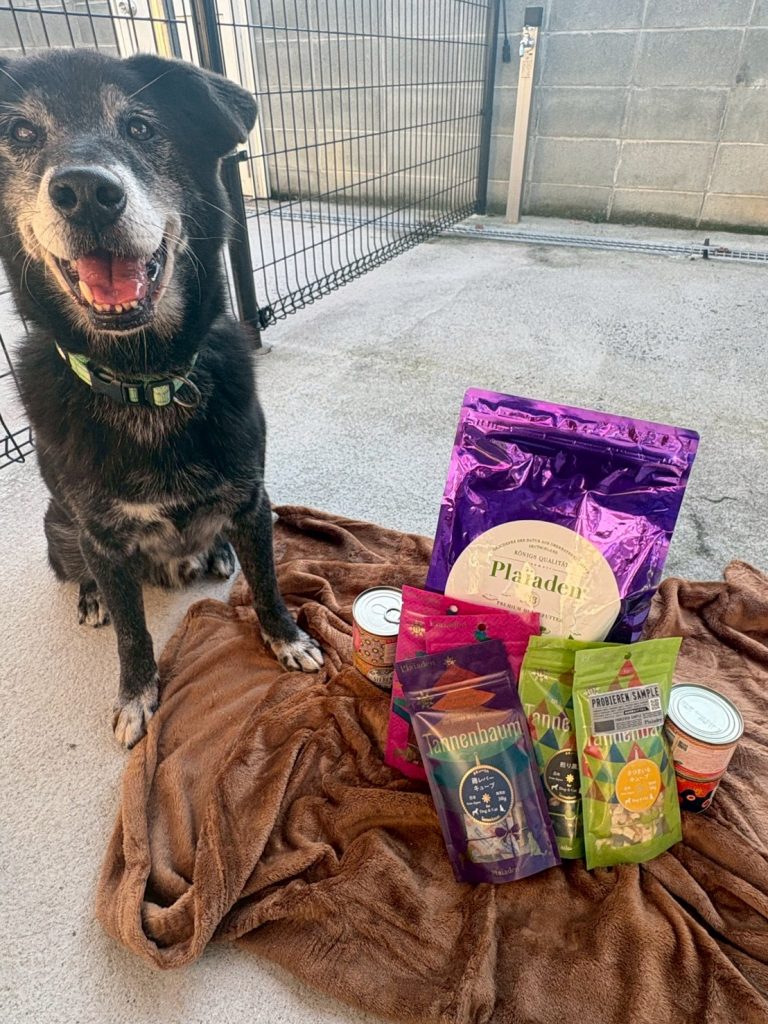 4e96ba4a726c1de582a2b46442be9e90 1