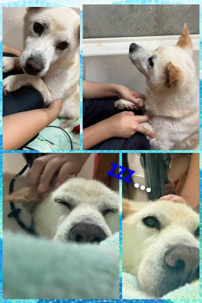 f830151364795ad6a24d1fb15b06f074