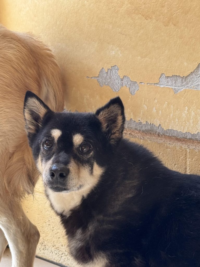 890c56827e3dbfcfe0559cfed07e2db8