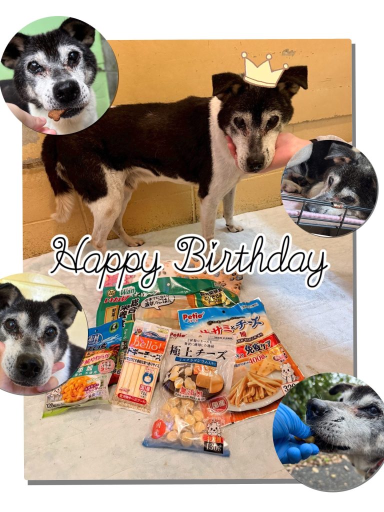 068a7c37f21f55f81b6599c2e2df99f6