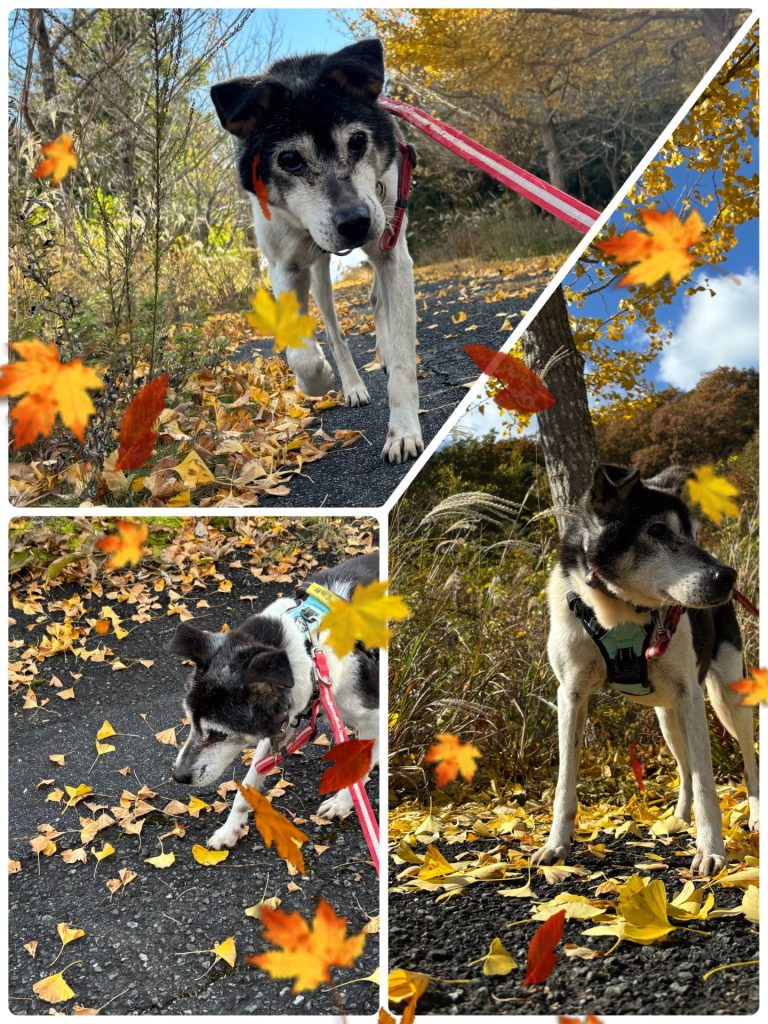 023bcf6fb0ba0b4c2e0fa27b41ee5867