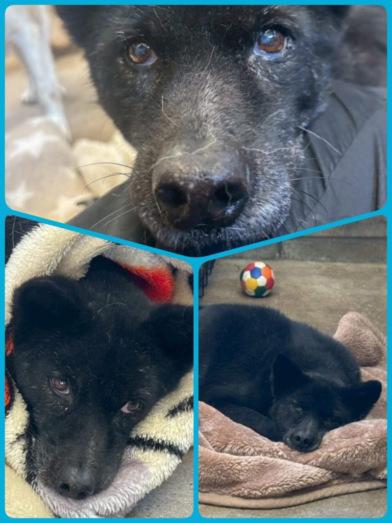 589fffa3b6f7b8b4068f983c76b6e4bb