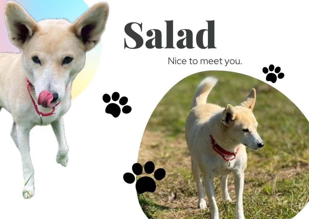 c0ca816c9b873815238b09e5be0a3176