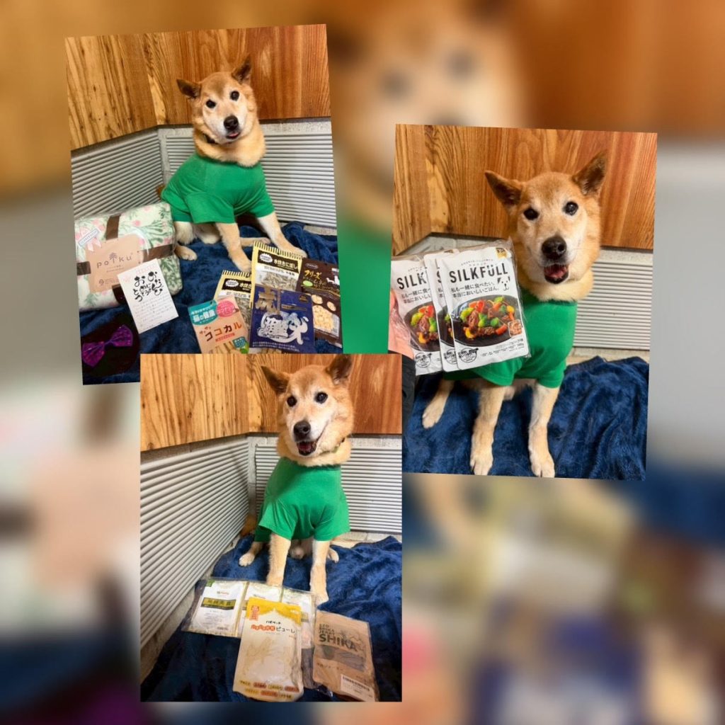 597737f9af87d0b1b6bf49fa60429ea8 1