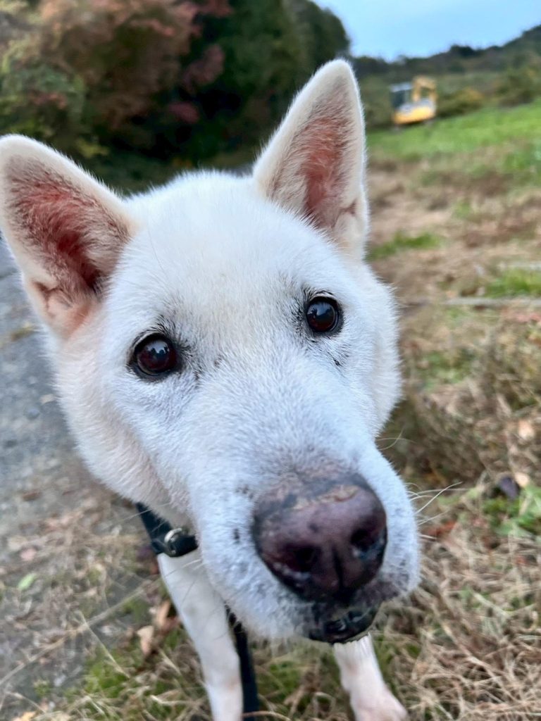 a979f8638c437a458d5a49abd9a6d310 1