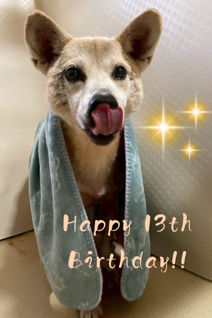 bea4a0c2589f84f48884922ffd3238d3 1