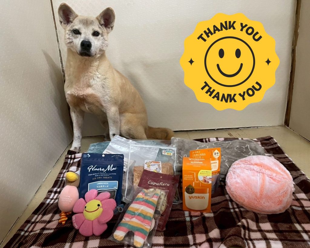 51acec6bca909c2262a9b1a182a7ce6c 1