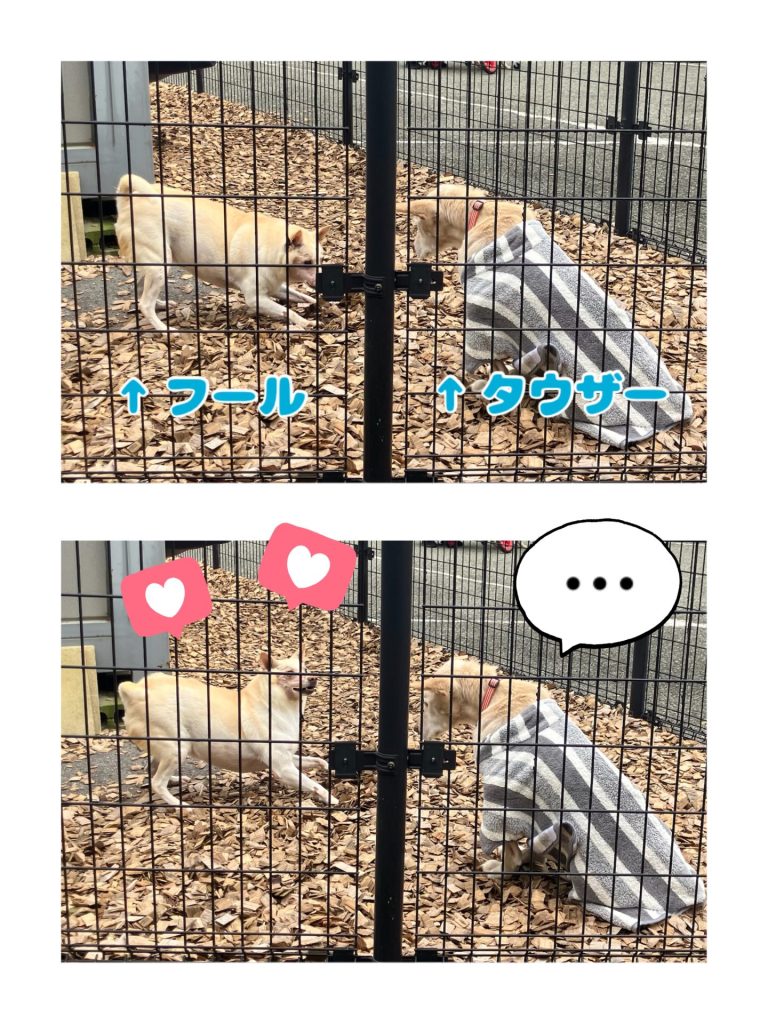 67aeb64f9aa925db5cc37d16685316fa