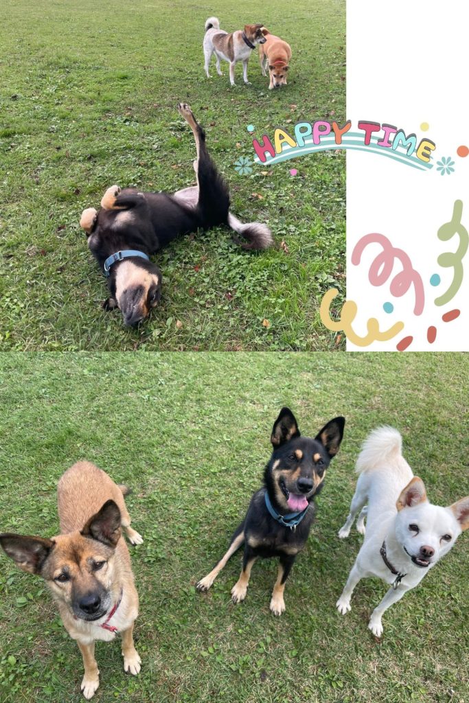 c7645e934bed8abc4fe6ea2502e2e224