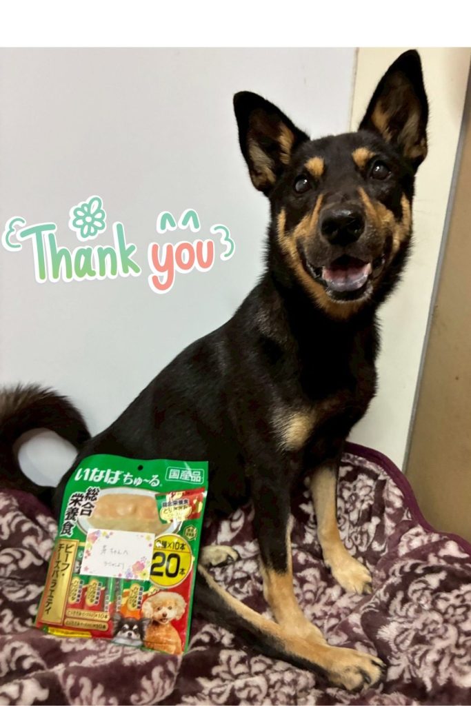 Journal 3 6810114d1e65421e5baf47df7ed4b3bc