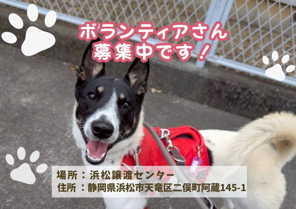 【ピースワンコのイベント】12/7㈰、13㈯、19㈮、28㈰「ボランティア説明会」開催(浜松譲渡センター) 2 9cbf62305e4178c8f8cc66352bf2a13d