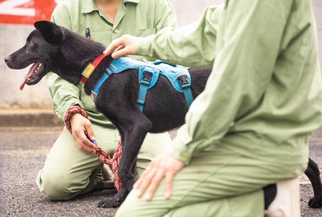 お知らせ 12 a612f4cdd28bdcd49d80f5cfb7ec0850