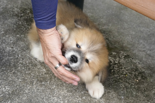 aa88a3effe3e3e70f65f72a5adaaa954