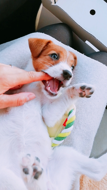 2a9eae895dd5cba449b8260e1ad803e0