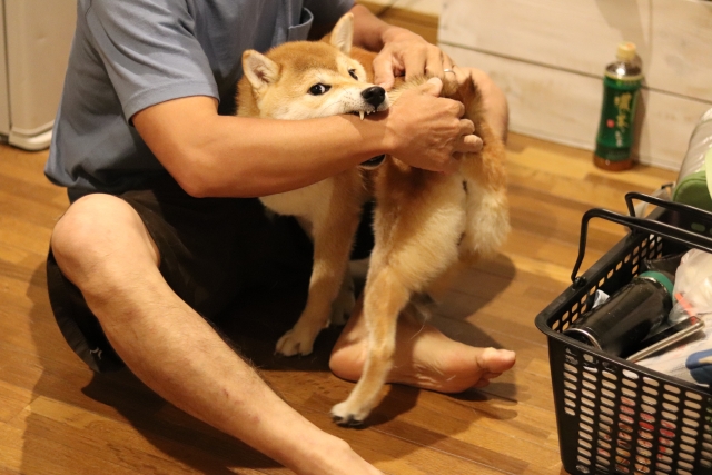 0bd667214cb479de30dda600d687be8e