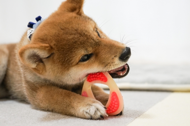 Journal 2 9e656d2e002d1b9d6a23242472228b09