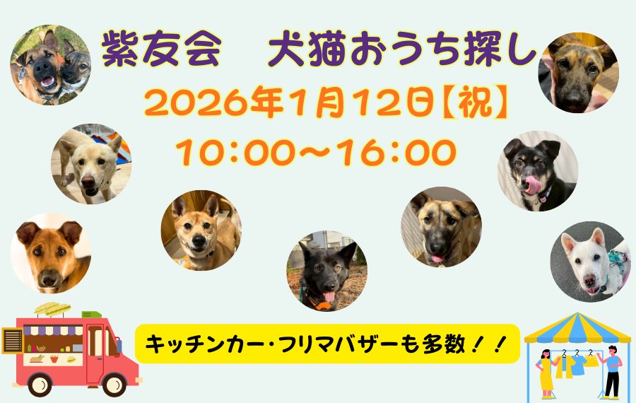 078feb634867c7a519b09d9ff807ea77