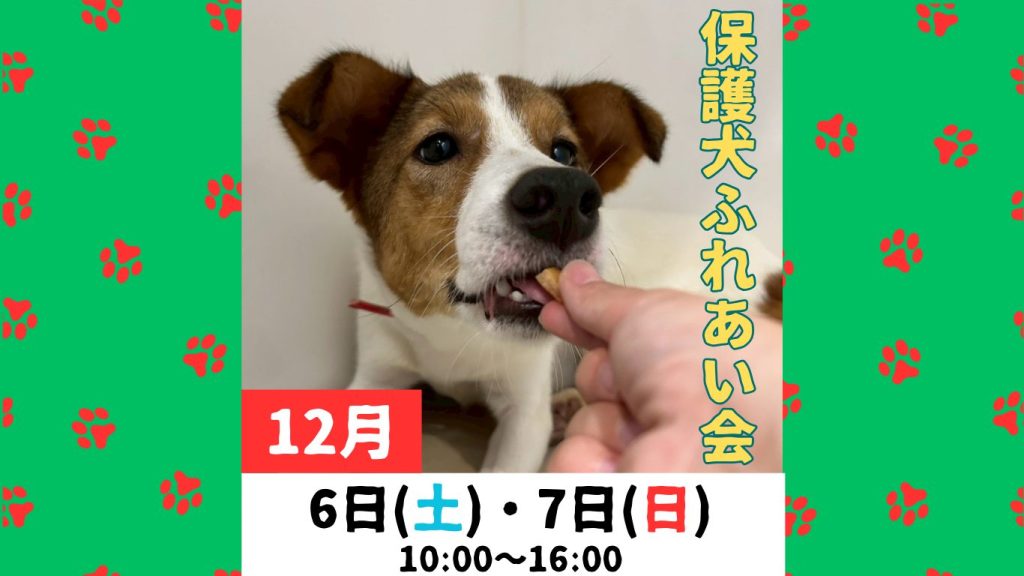 281792ef4c9e84a805f73afe5d205154