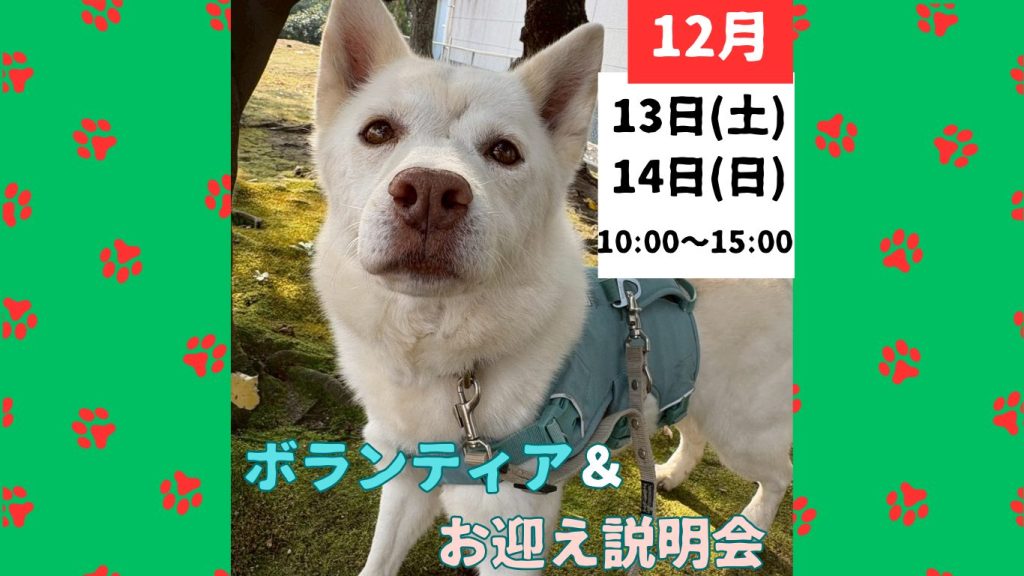 e85a96d0bdbaf1678f47f48b0517d410