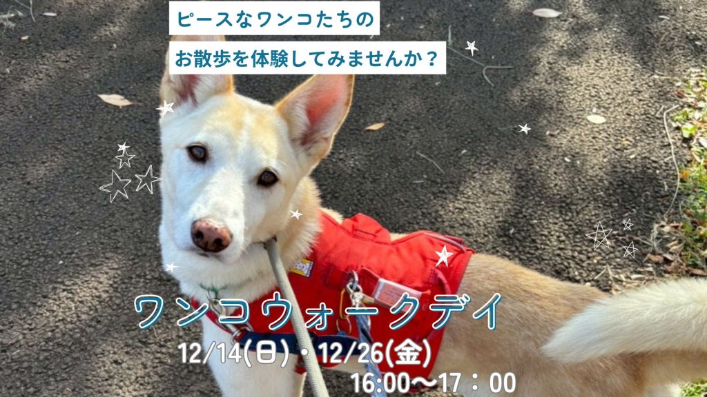 【ピースワンコのイベント】12/14(日)、26(金) 「ワンコウォークデイ」(世田谷譲渡センター) 2 49fd8b3a3c329da8b264624cbf1aa968