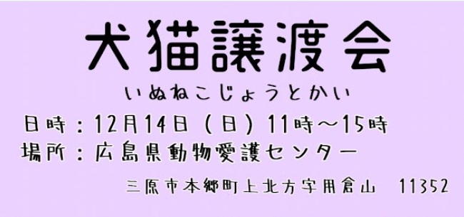 a7b95102808bee8c7741513f432bf56c