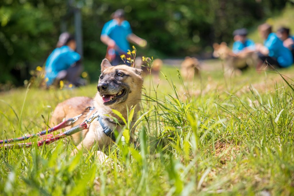 fbc33c6e3f94ef9245fb143304bd4112