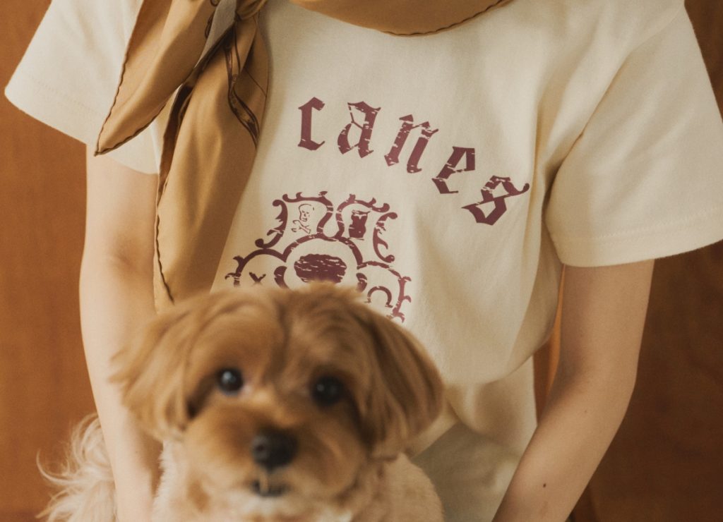 お知らせ 10 017 1 e1764815076347