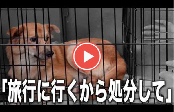 4c85c234076325c638e2c305400f29d6 1