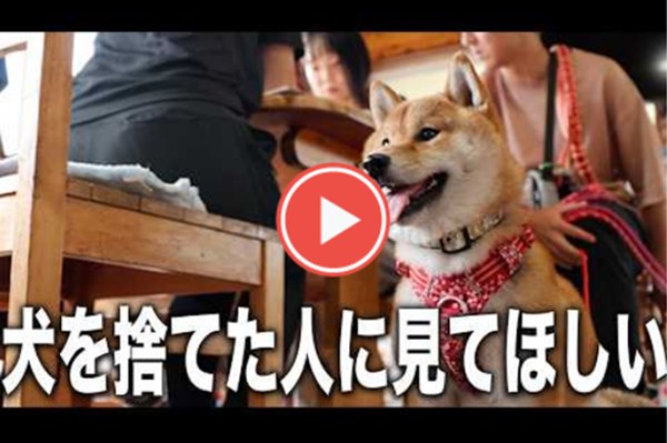 4c85c234076325c638e2c305400f29d6 2