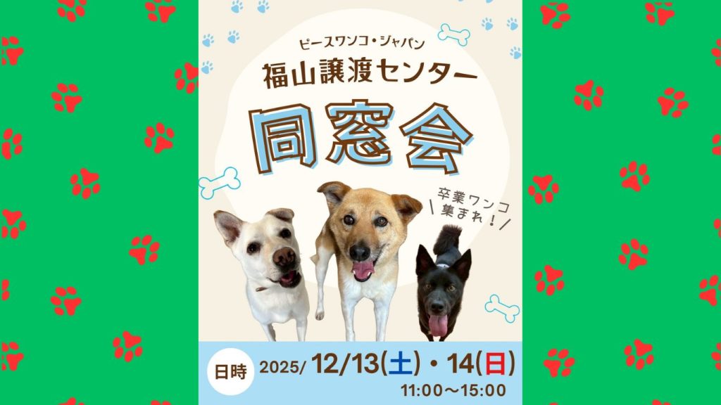 e1e51e290613e7858552f2cadf603be2