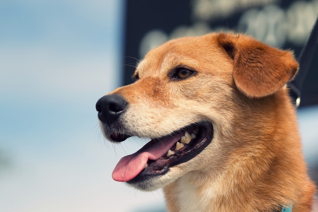 a5aac908f016aed75ad6d7c18c26a00c